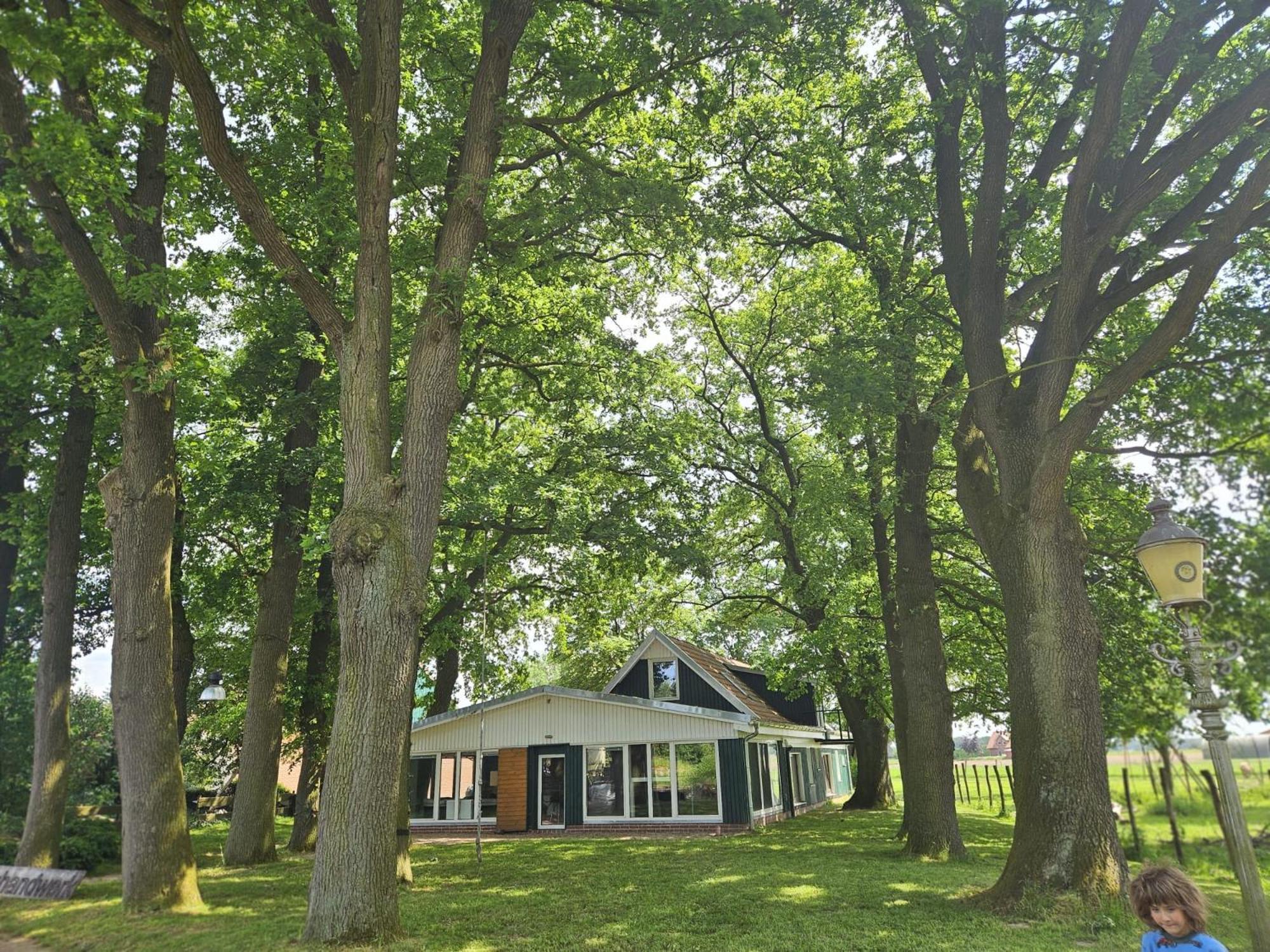 Ferienhaus Banana Lodge Bruchhausen-Vilsen المظهر الخارجي الصورة