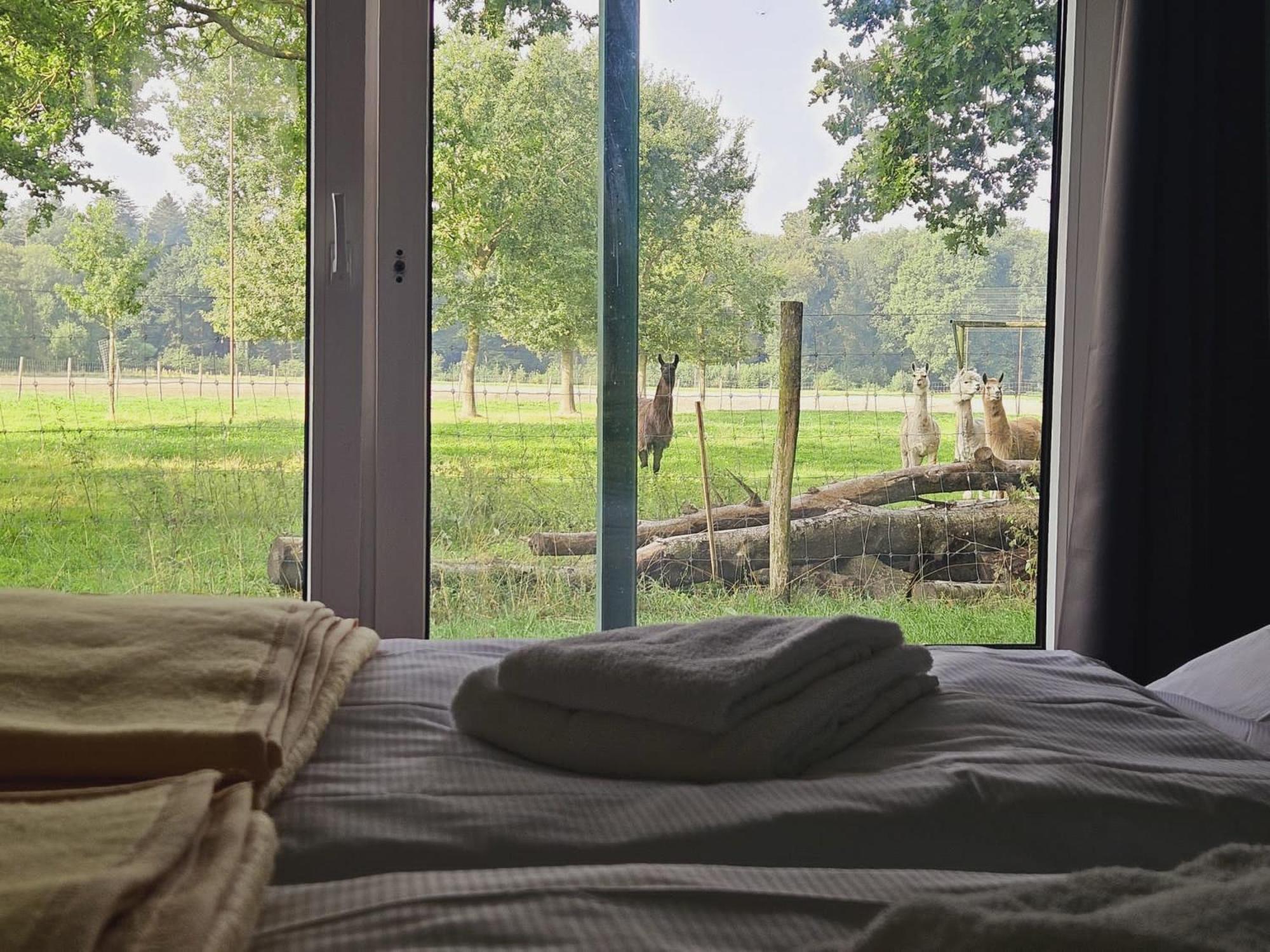 Ferienhaus Banana Lodge Bruchhausen-Vilsen المظهر الخارجي الصورة