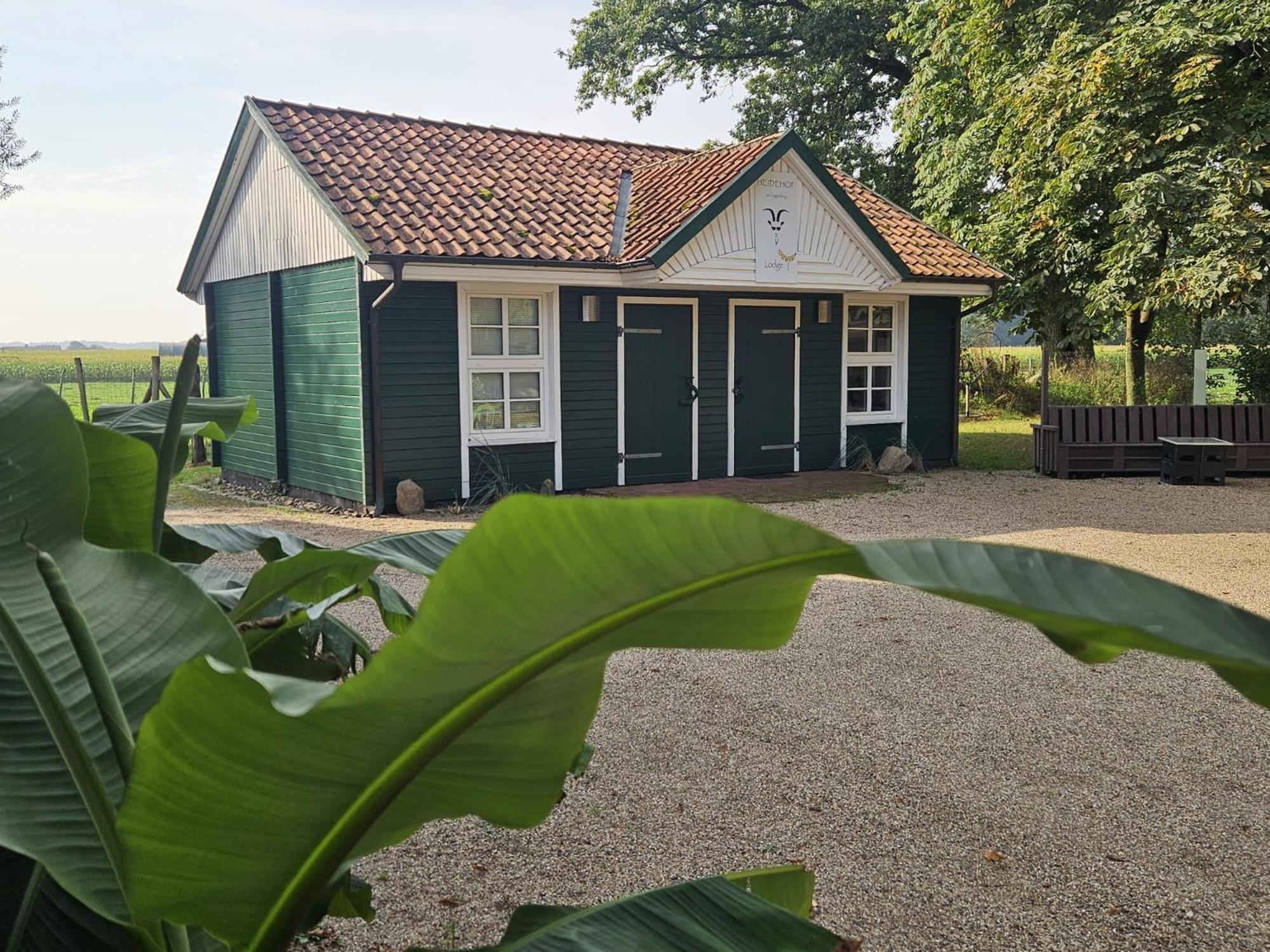 Ferienhaus Banana Lodge Bruchhausen-Vilsen المظهر الخارجي الصورة